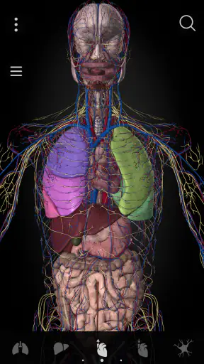 Anatomyka - Anatomía 3D screenshot