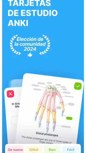 Noji: Flashcads de estudio screenshot