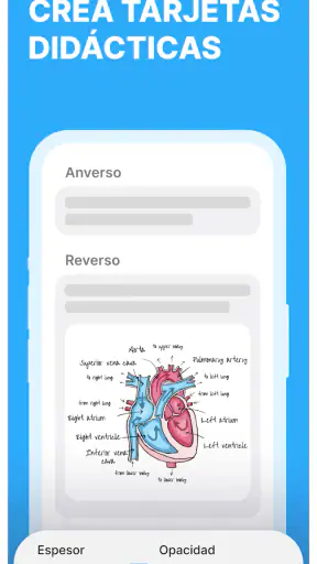 Noji: Flashcads de estudio screenshot
