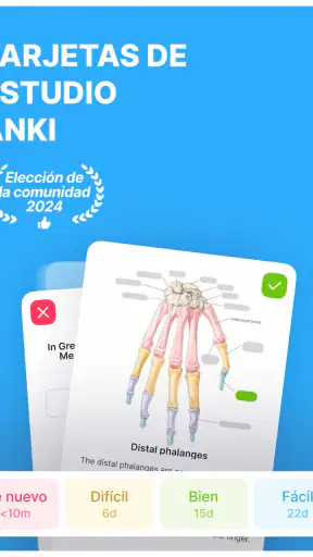 Noji: Flashcads de estudio screenshot