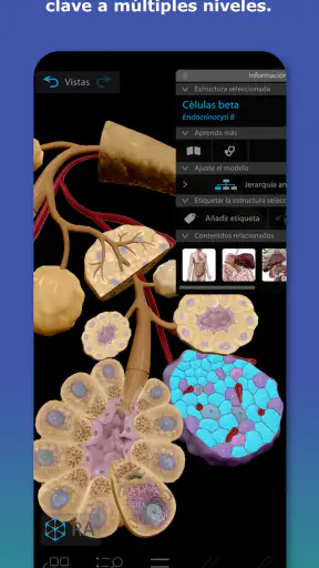 Atlas de anatomía humana 2026 screenshot