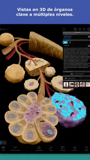 Atlas de anatomía humana 2026 screenshot
