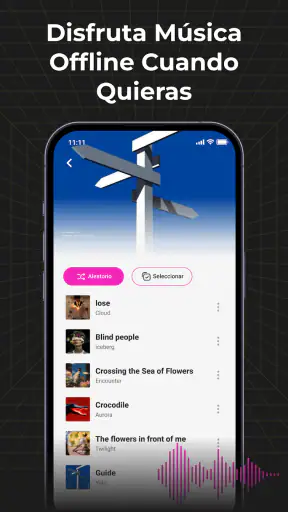 Audio Insight - Offline Music screenshot