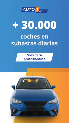 AUTO1.com – Subastas B2B screenshot