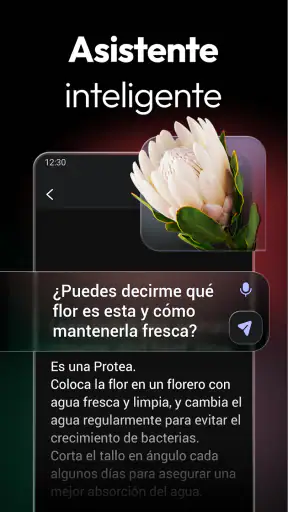 ChatOn - Chat de IA en español screenshot