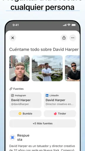 Deepsearch AI Search Assistant screenshot