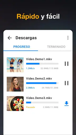 Descargador de vídeos en HD screenshot