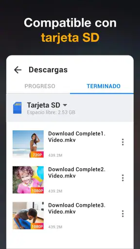Descargador de vídeos en HD screenshot