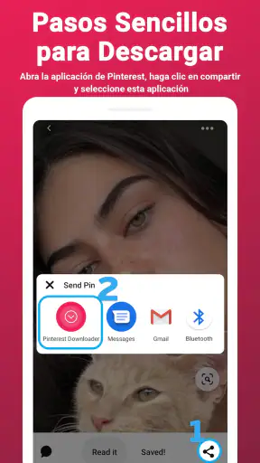 Descargar vídeos de Pinterest screenshot