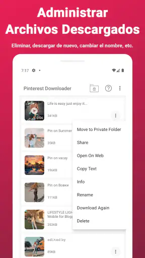 Descargar vídeos de Pinterest screenshot