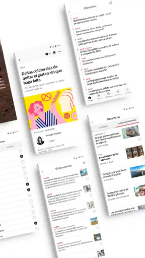 Diario Sur screenshot