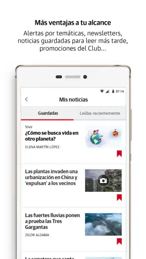 Diario Sur screenshot