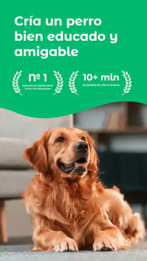 Dogo — Entrenador de perros screenshot