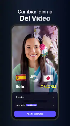 Dubs: Captions for Videos screenshot