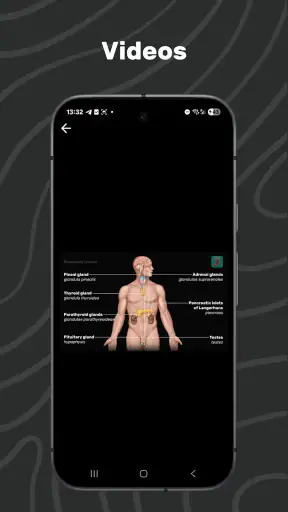 Easy Anatomy 3D screenshot