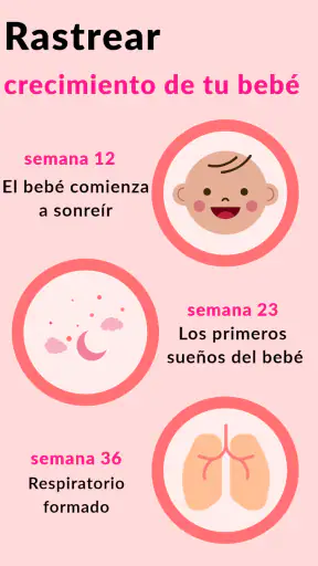 Embarazo Semana a Semana screenshot