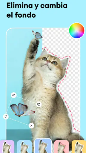 Estudio de Fotos IA: Editor screenshot