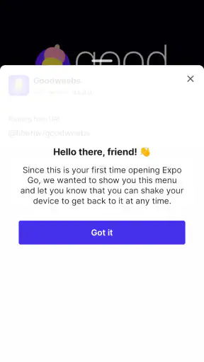 Expo Go screenshot