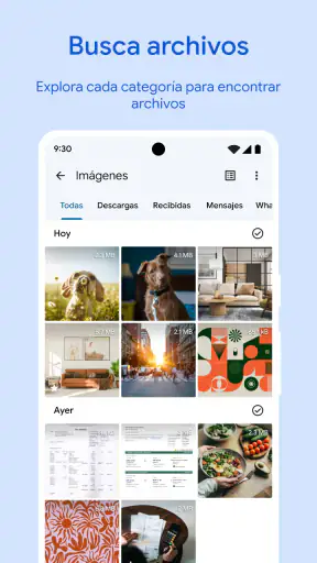 Files de Google screenshot