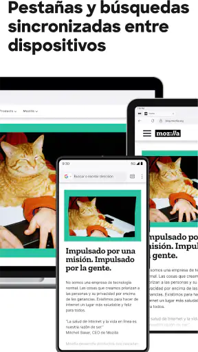 Firefox: navegador privado screenshot