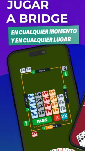 Fun Bridge screenshot