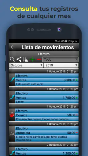 Gastos Diarios 2 screenshot