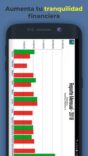 Gastos Diarios 2 screenshot