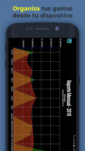 Gastos Diarios 2 screenshot