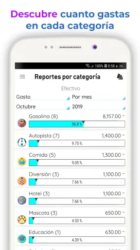 Gastos Diarios 3 screenshot