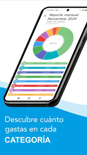 Gastos Diarios 4 screenshot