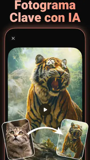 Generador de vídeo IA - Viddo screenshot