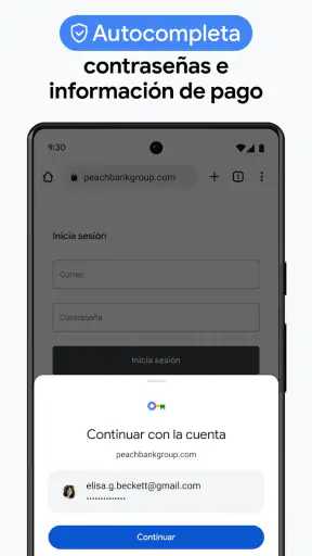 Google Chrome screenshot