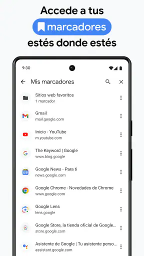 Google Chrome screenshot