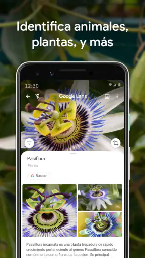 Google Lens screenshot