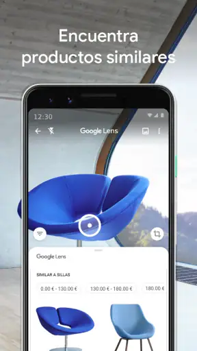 Google Lens screenshot