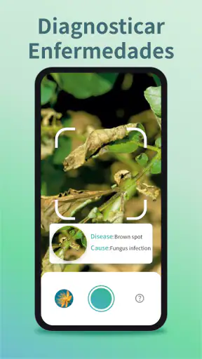 Identifica y Cuida Plantas screenshot