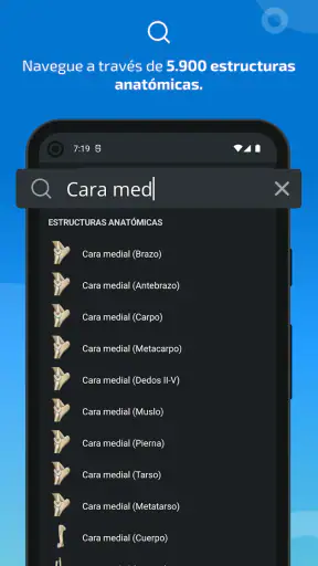 IMAIOS vet-Anatomy screenshot