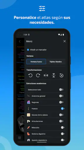 IMAIOS vet-Anatomy screenshot