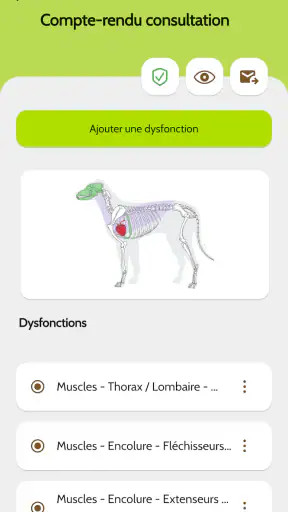 Kiwiappli screenshot
