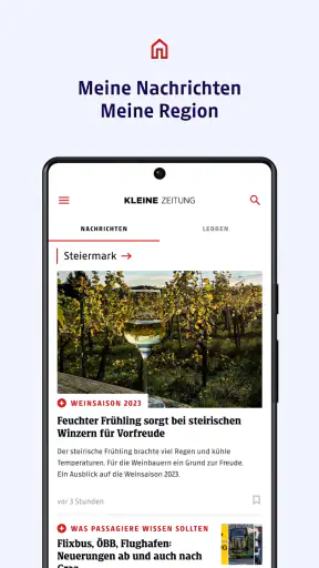 Kleine Zeitung screenshot