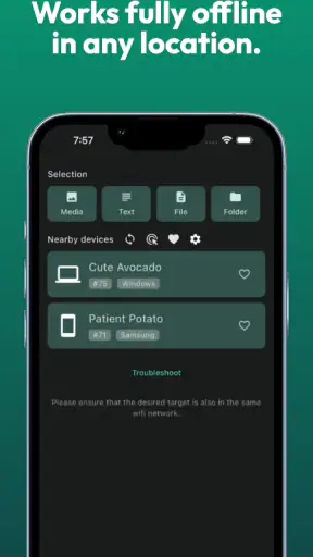 LocalSend: Transfer Files screenshot