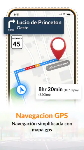 Mapas Satelitales GPS en Vivo screenshot