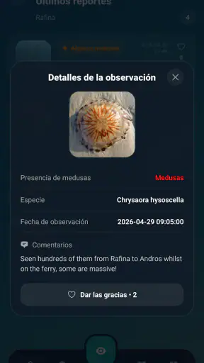 Meduseo screenshot