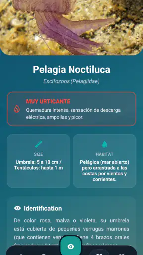 Meduseo screenshot