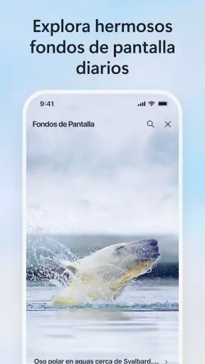Microsoft Bing Búsqueda screenshot