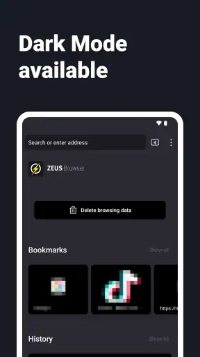Navegador de Internet - ZEUS screenshot