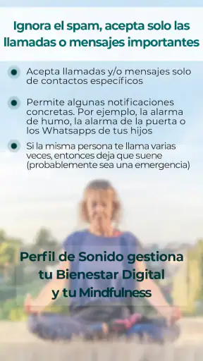 Perfil de Sonido screenshot