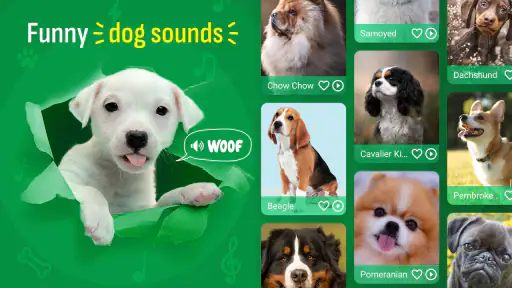 Perro Sonido Fondo de pantalla screenshot