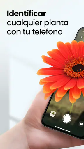 PlantApp: Identifica plantas screenshot