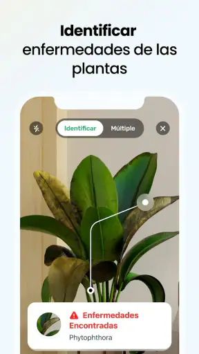 PlantApp: Identifica plantas screenshot
